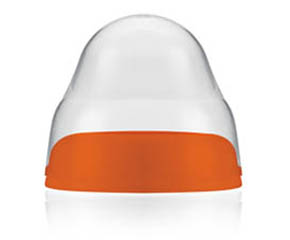 �����ǌ��ڏ���ƿ�w�Æ���