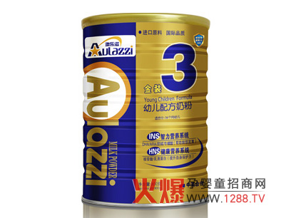 �Ę��̽��b�׃��䷽�̷�INS�����I�B(y��ng)ϵ�y(t��ng)��B