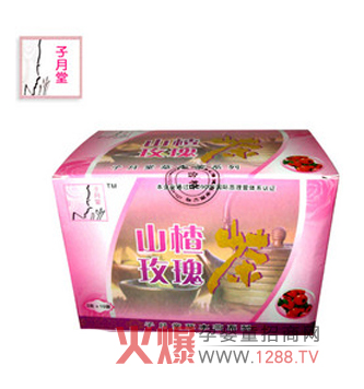 ������ɽ�õ��� �Ћ���Ľ����x��