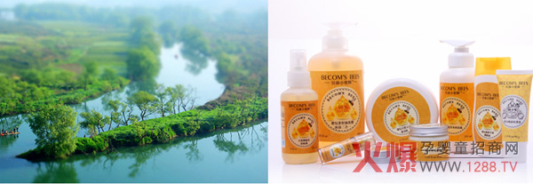 ؐ��С�۷�ؐ��������̽�L�Ї�(gu��)���l(xi��ng)��