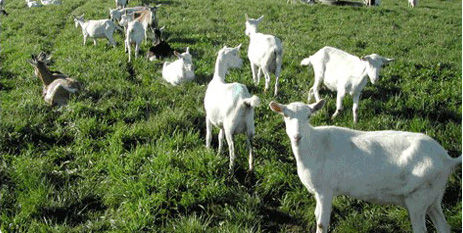 ����������Դ����������������������