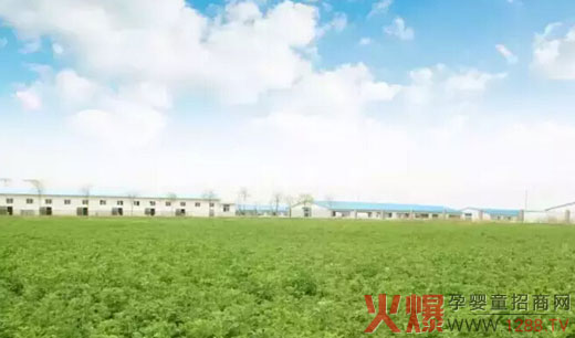 ������ЙC(j��)����(ch��ng)�����ع� ����?j��ng)]����