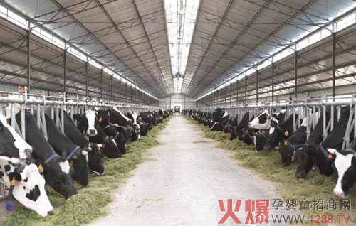 ��V�x������ţ����Ʒ���M�Ј���  �xɽ��(chu��ng)�¸�Ч����ģʽ�����̘I(y��)�³��B(t��i)