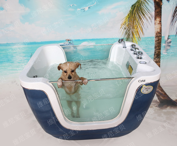 �S�ጚؐU��ԡ��