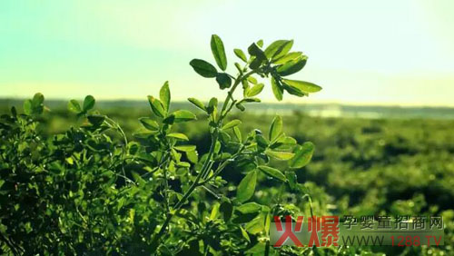 �xɽţ�̟���ӛ�������������� �����֎ײ���