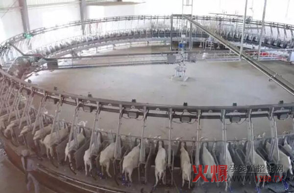 �P(gu��n)ɽ��I(y��)���B(t��i)���� ���޴�Ҏ(gu��)ģ����(sh��)�a(ch��n)�I(y��)朻��A(ch��)