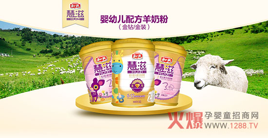 ������ʲô���ۺȺ��ϻ������̷���