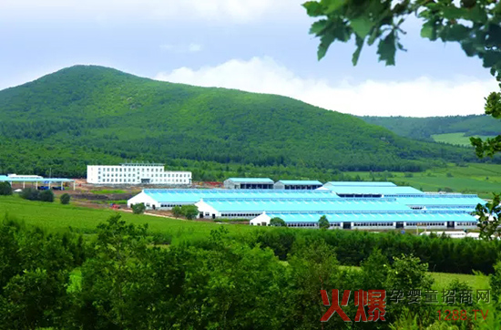 �l(f��)չ��(sh��)�w��(j��ng)��(j��)�����_(d��)ɽ���Є�(d��ng)��