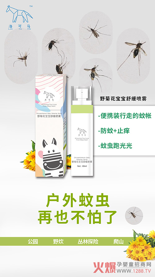 �����Ȍ�����������R�������ϵ������������������