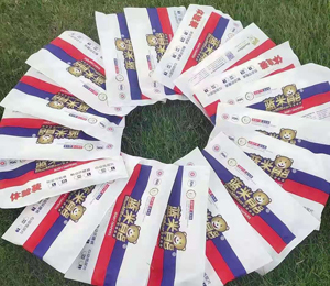  �{���ܼ���ѝ���N�D11