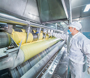  ��������S29