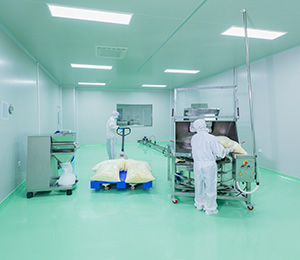  ��������S1