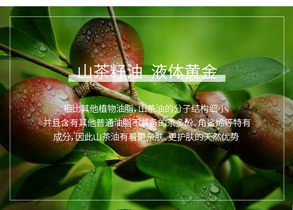 天使森林山茶油精華潤膚霜詳情_05.jpg