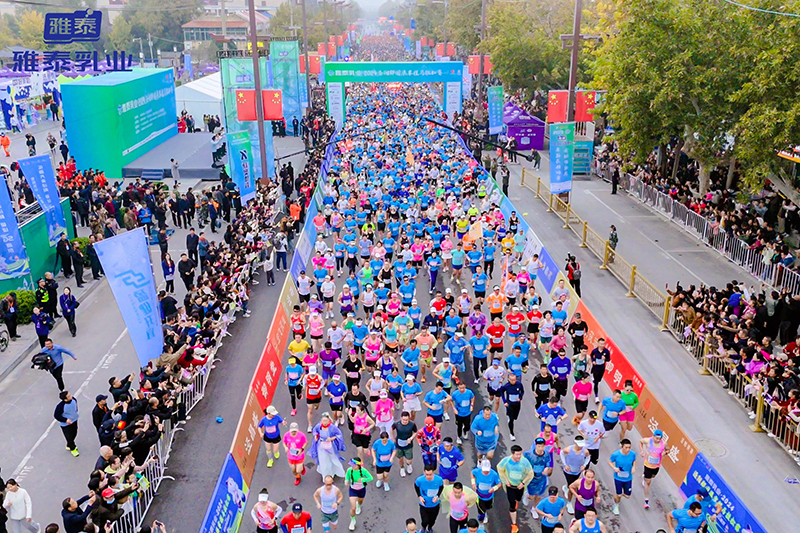 �f�˹��ܣ��������R����̩��I(y��)��2024�������(gu��)������R����ِ�A�M�ɹ���