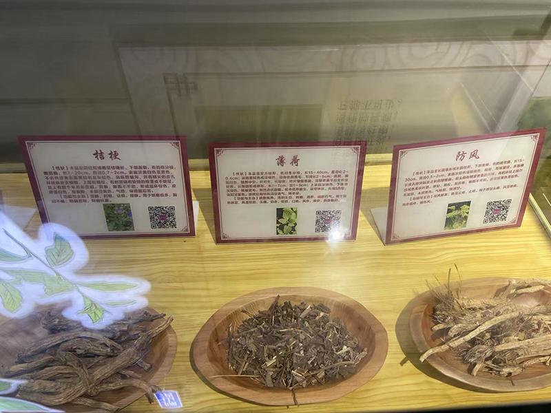 學(xué)習(xí)苗藥知識(shí).jpg 學(xué)習(xí)苗藥知識(shí).jpg