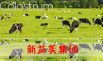 �������I�B(y��ng)Ʒ���޹�˾