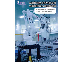 ���ܶ�ABB����ȫ�ԄӰ��b܇�g