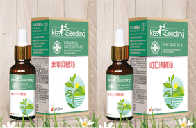 �H�H��(sh��)���̈́�