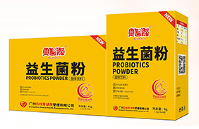 ؐ������(��i)��������