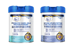 �W����̵����|(zh��)��