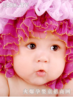 ���쌚���ɐ���