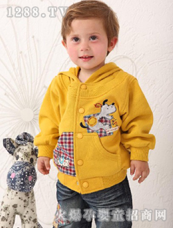 �������Sɫ����