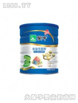 ���b�����ǋ냺�̷�900g