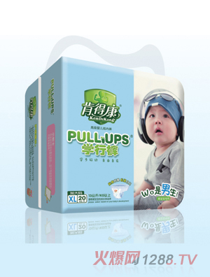 �ϵÿ��W��ѝXL20���У�