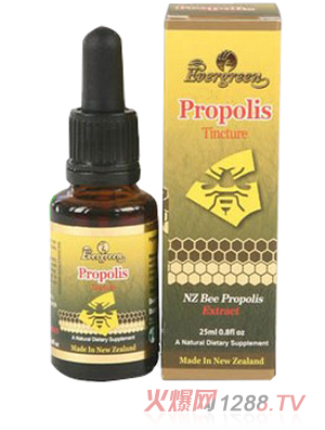 Evergreen���z��Һ