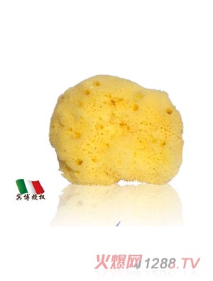 ��ɭ�Ơ���ɭ�Ơ����ἡ�w��z���d