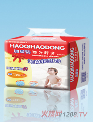 ����ÄӋ냺����ѝM�a24+2Ƭ