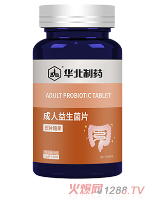 �A����ˎ����������Ƭ