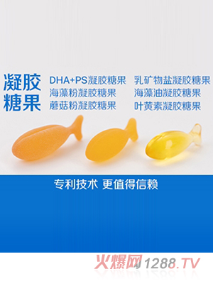 ���z�ǹ�- �������g ��ֵ����ه