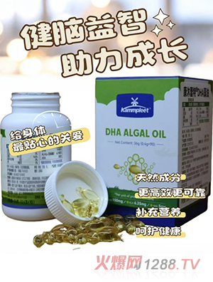 Kammpleet��������DHA�������z�ǹ�