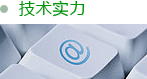 技術(shù)實力